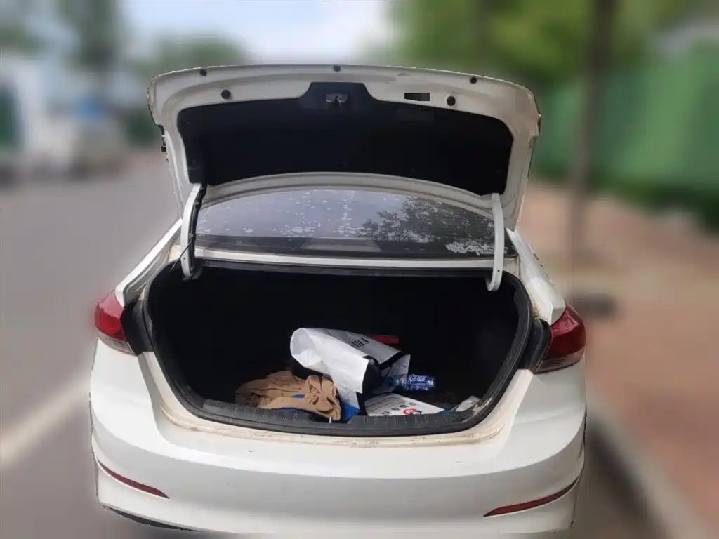 Hyundai Elantra 2018 1.6L Automatic 15th Anniversary Special Edition фото 10