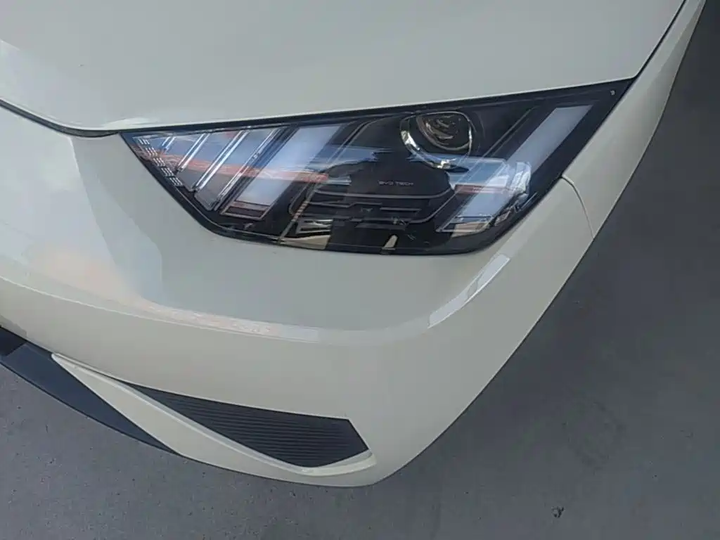 BYD Seagull 2026 2025 Smart Drive Edition 305km Vitality Version