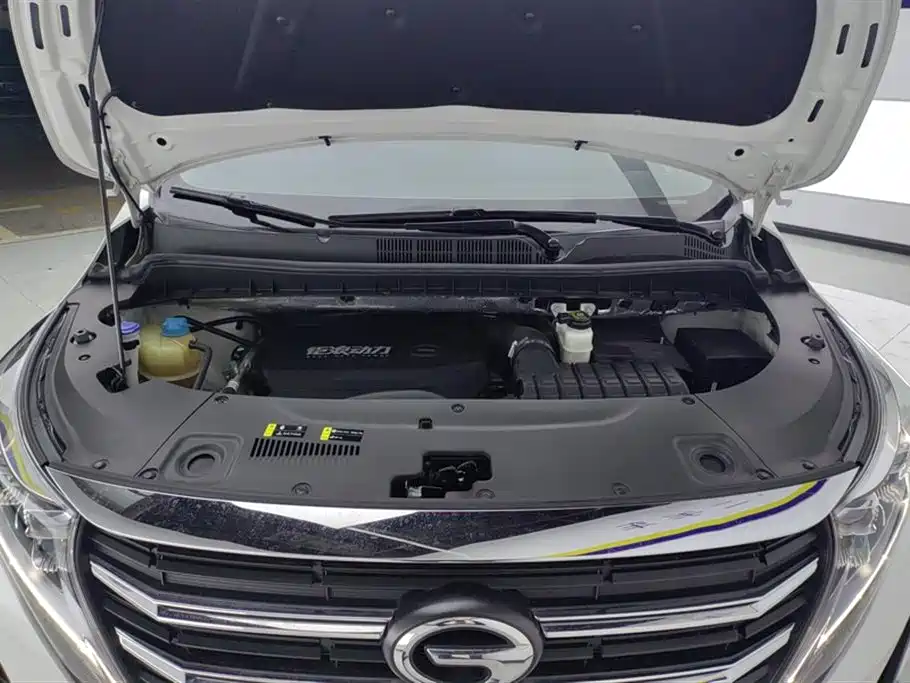 GAC Trumpchi Trumpchi M8 2021 Leading Show Series 390T Premium Edition фото 10