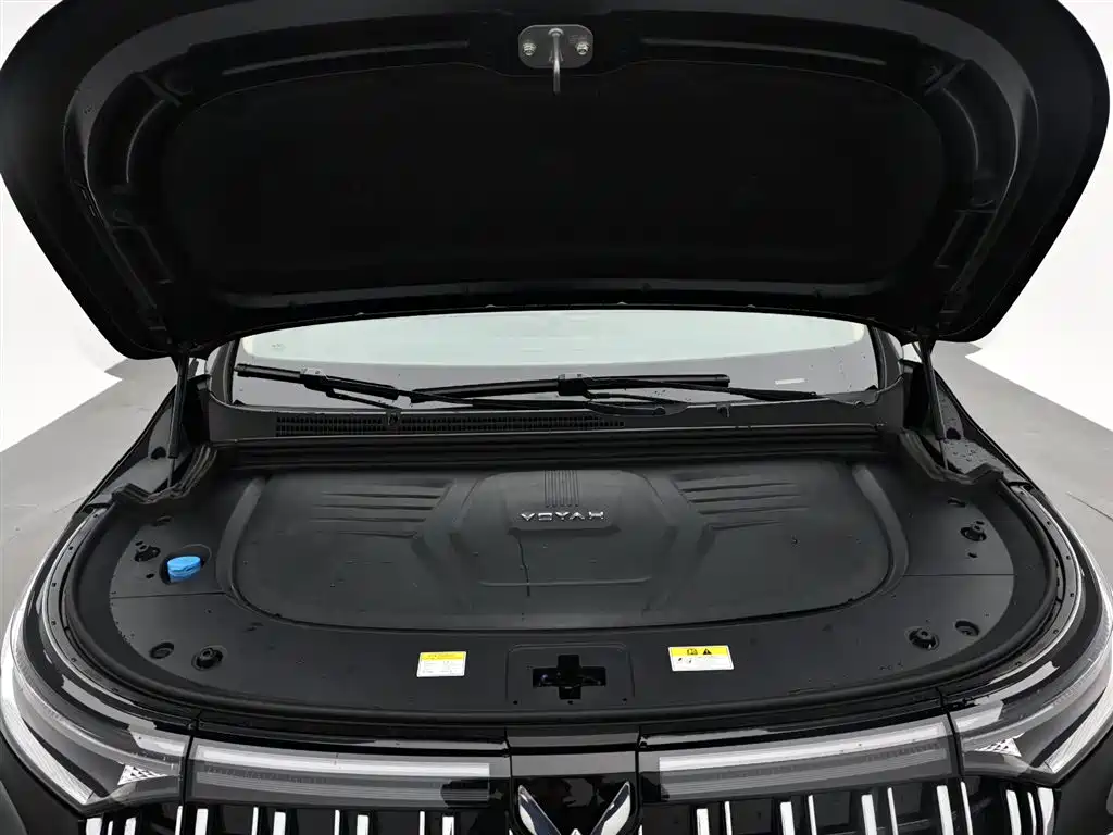 Voyah Auto Voyah Dreamer 2022 Low Carbon Edition Home фото 17