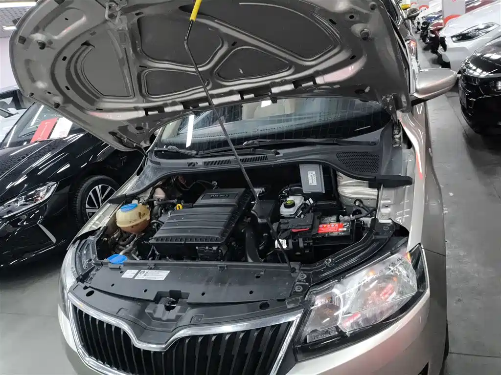 Škoda Rapid 2013 1.6L Automatic Smart Selection фото 20