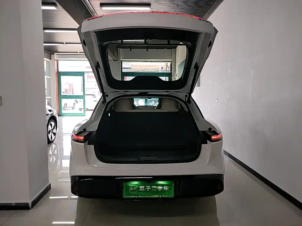 Фото 19 - Dongfeng Fengxing Stellar S7