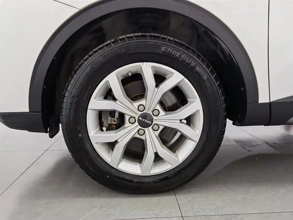 Haval H6 2019 1.5GDIT Automatic Champion Edition China VI фото 17