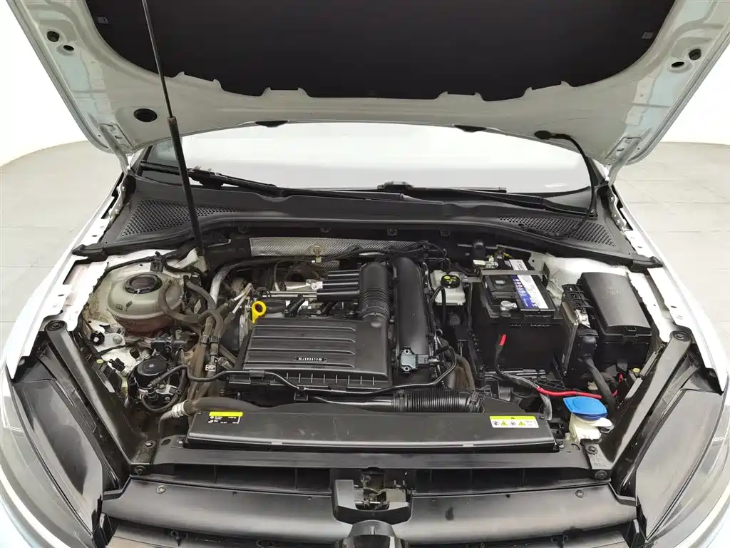 Volkswagen Golf 2020 Beloved Edition 280TSI DSG Luxury фото 6