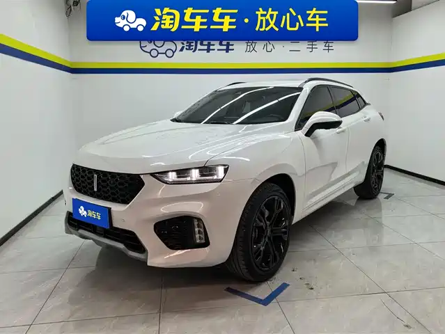 WEI PAI WEI BRAND VV7