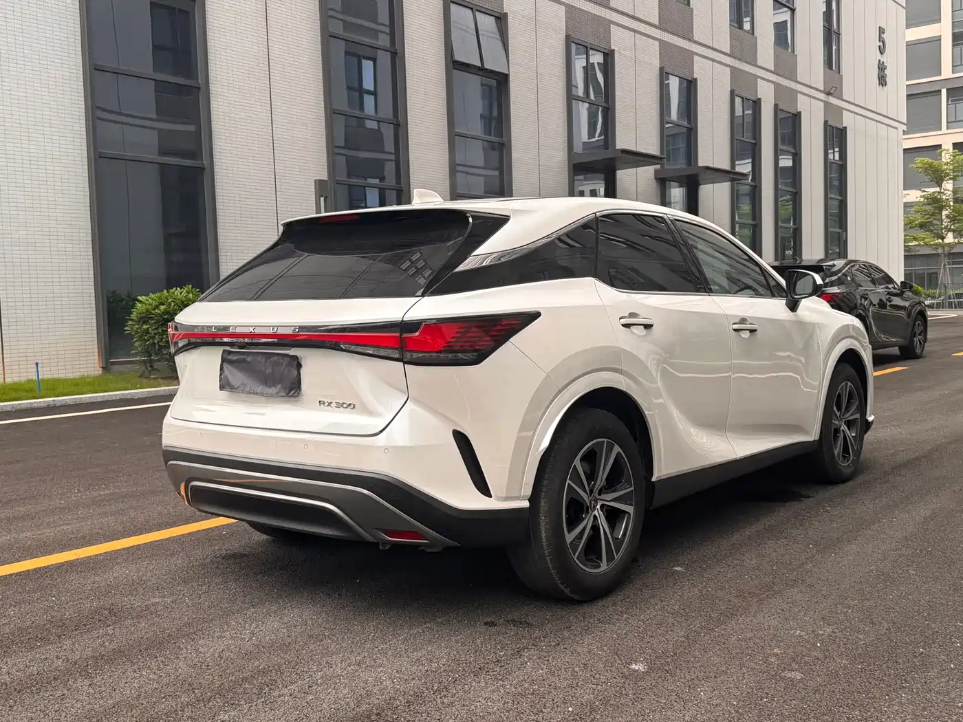 Lexus RX 2025 300 4WD Premium Edition фото 9