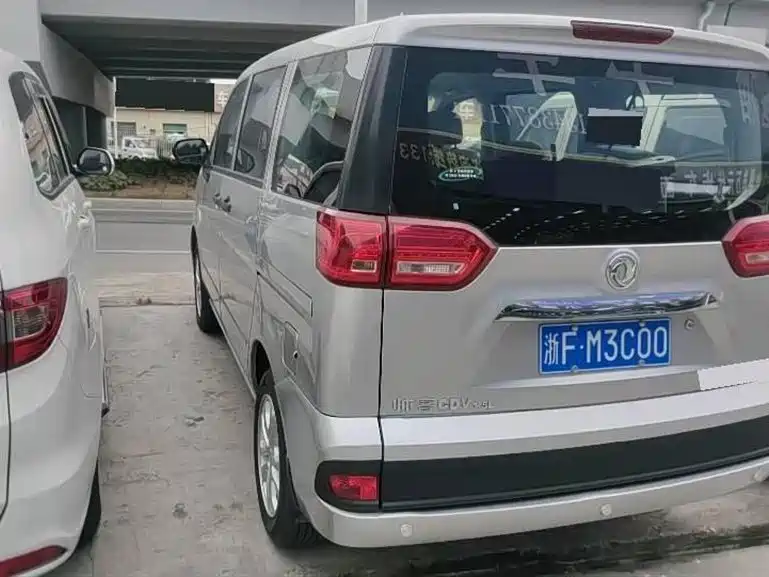 DONGFENG HANDSOME GUEST