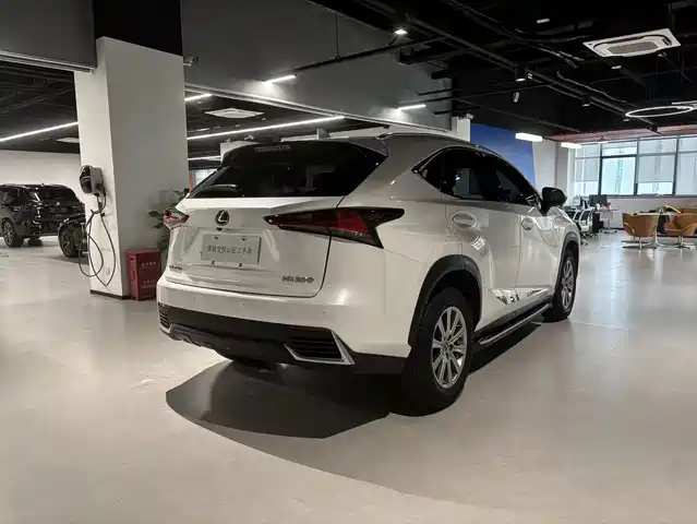 Lexus NX 2018 Model 200 FWD Fengxing Edition China V — фото 4