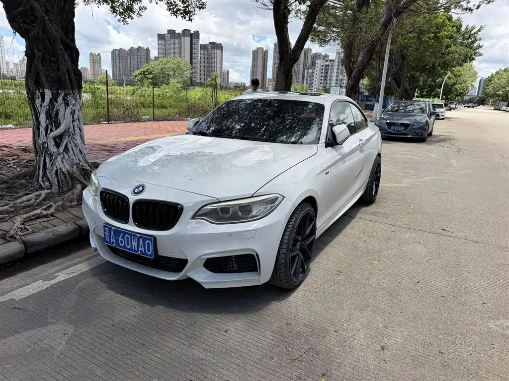 BMW 2 Series (Import) 2014 2014 220i Leading