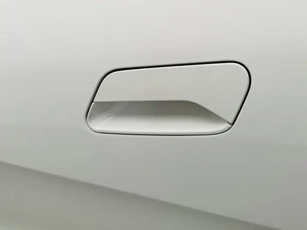 Geely Geometry E Firefly 2023 2023 401KM Linglong Tiger 5-Seater