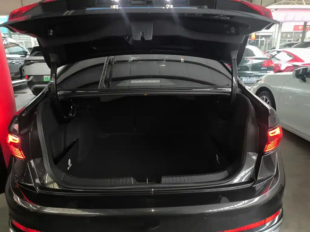 Volkswagen Sagitar 2023 300TSI DSG Surpassing Edition фото 19