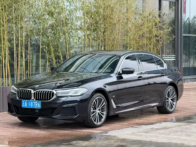 BMW 5 SERIES