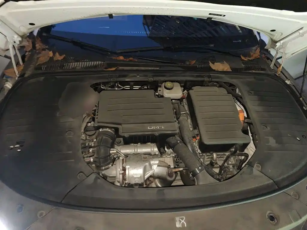 BYD Han 2022 DM-i 121KM Premium Edition фото 11