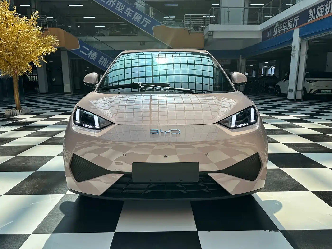 2026 BYD Seagull