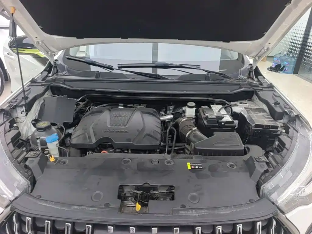 Haval Chitu 2022 2022 Power Edition 1.5T Purple Copper Rabbit