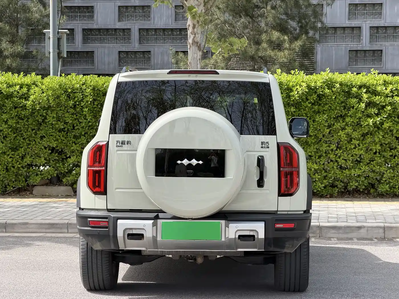 FANG CHENG BAO LEOPARD 5