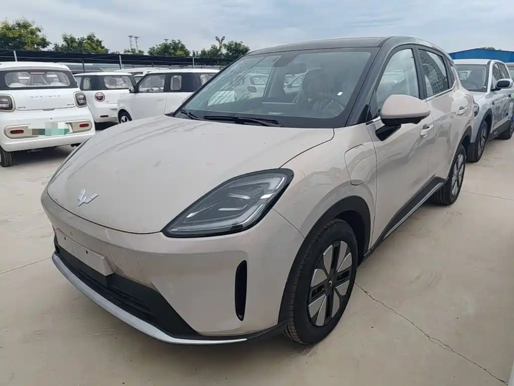 Wuling Motors Wuling Bingo S 2026 2025 Model 325km Premium Edition