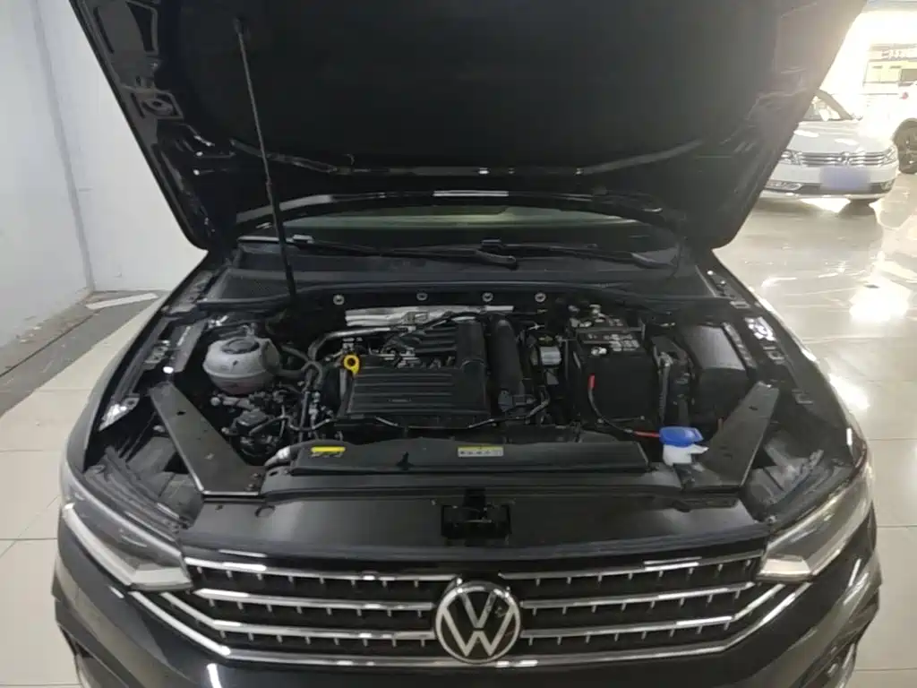 Volkswagen Magotan 2025 2025 Popular Edition 280TSI DSG Comfort