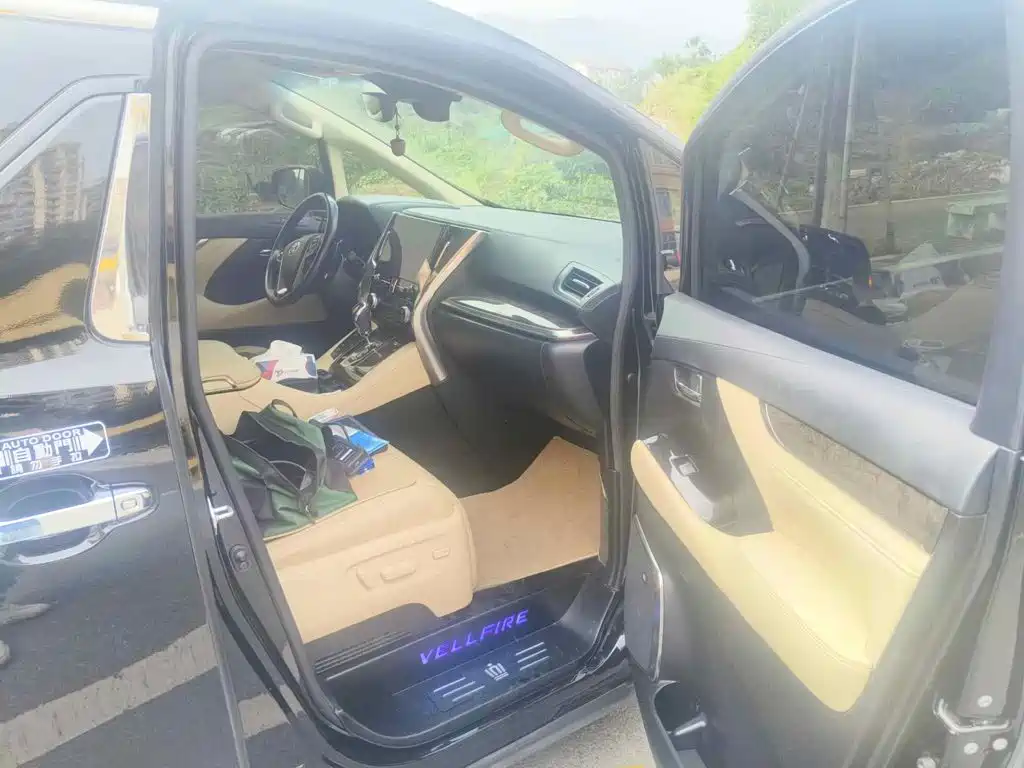 Фото 10 - Toyota Vellfire