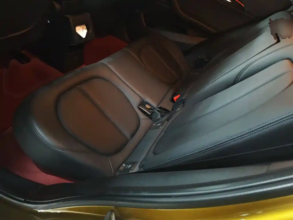 BMW X2 (Import) 2019 sDrive20i M Off-Road Package China VI фото 13