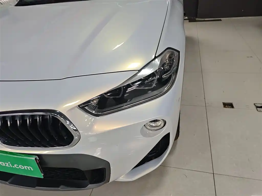 BMW X2 (Import) 2019 sDrive20i M Off-Road Package China VI фото 18