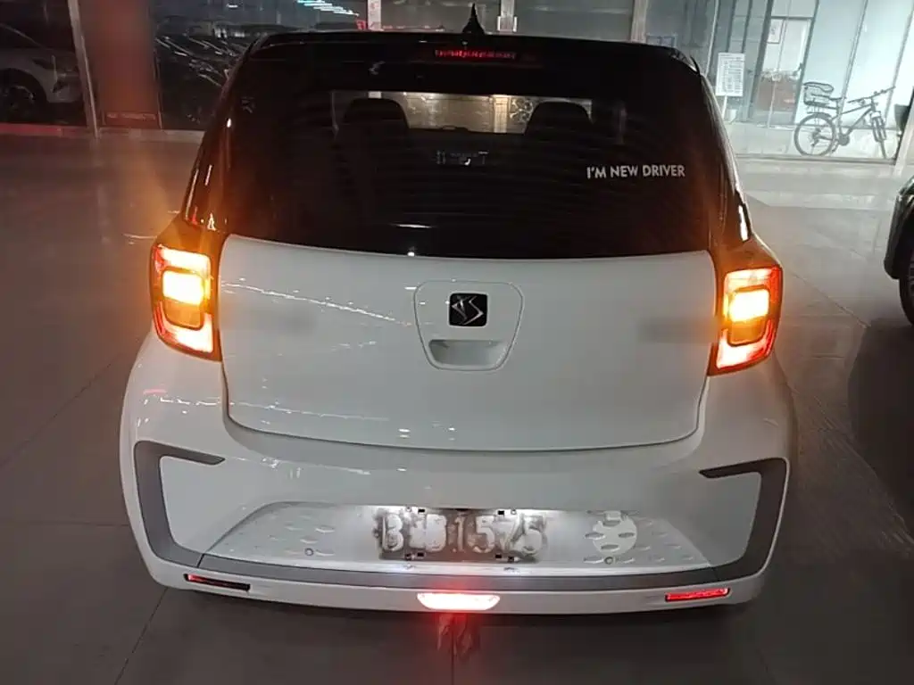 Sehol Flower Fairy 2021 2021 302km Luxury Edition 31.4kWh