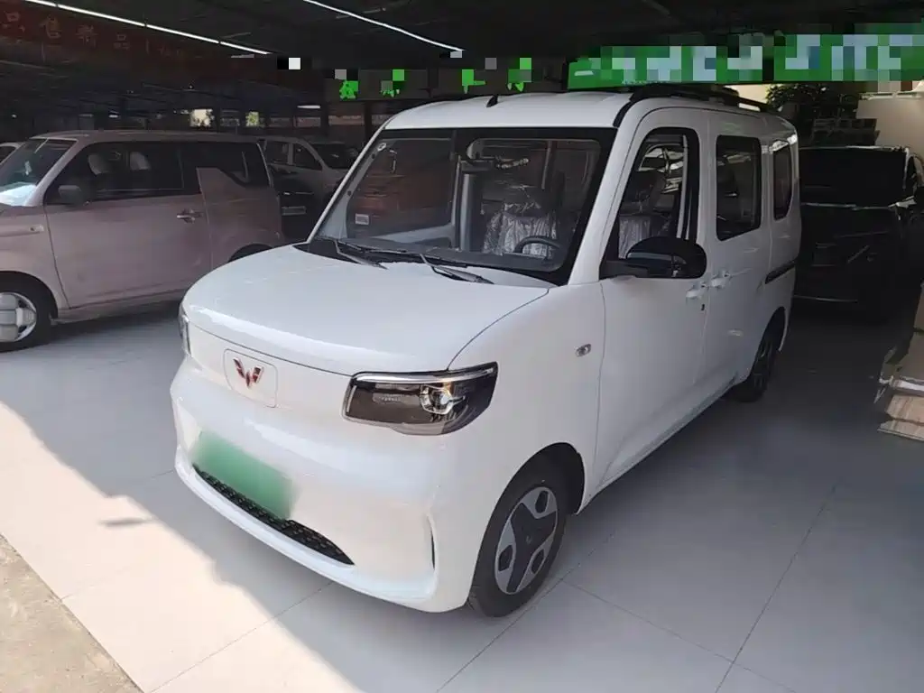 Wuling Motors Wuling Zhiguang NEV 2026 2025 Model 305km Base Version