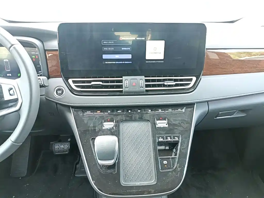 Hongqi HQ9 PHEV 2024 Model 2.0T AWD Luxury Edition фото 13