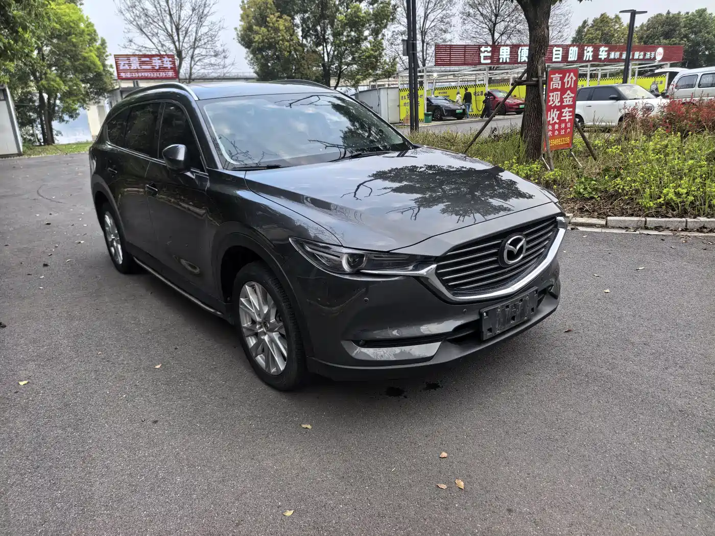Mazda CX-8 2019 2.5L AWD Premium Model фото 2