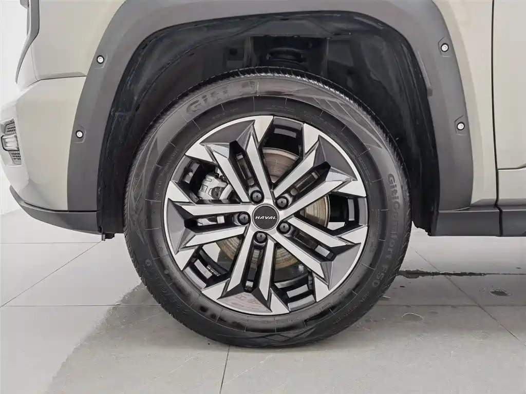 Haval Da Gou 2nd Gen 2023 2.0T 2WD Trendy Off-road Edition Plus фото 17