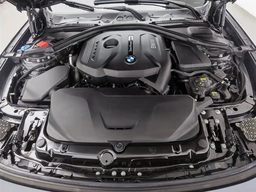 BMW 3 Series GT 2020 320i M Sport Black Night Edition фото 6