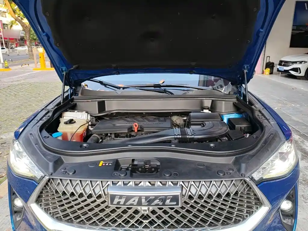 Фото 20 - Haval F7x