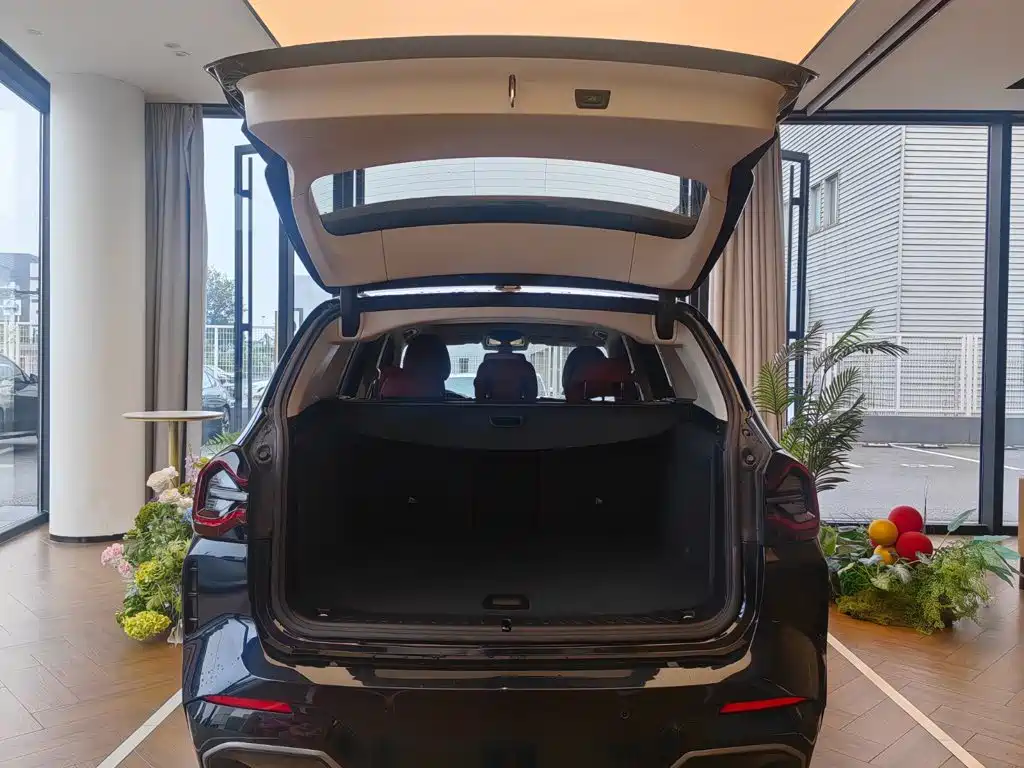 BMW iX3 2025 2024 Leading Edition