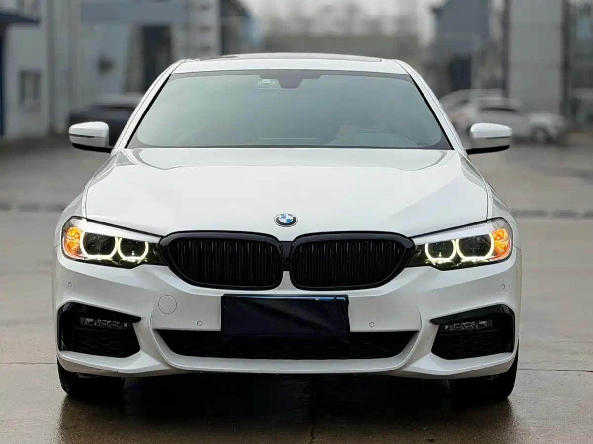 BMW 5 Series 2019 530Li Leading M Sport Package фото 3