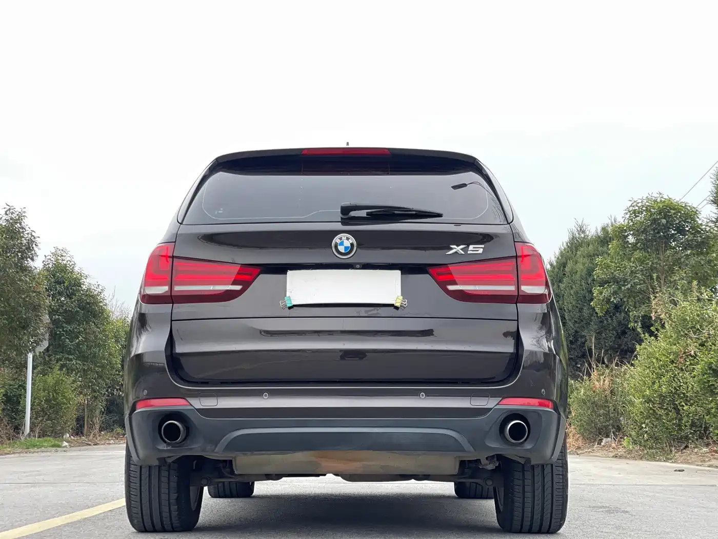 BMW X5 (Import) 2014 xDrive35i Elegance фото 6