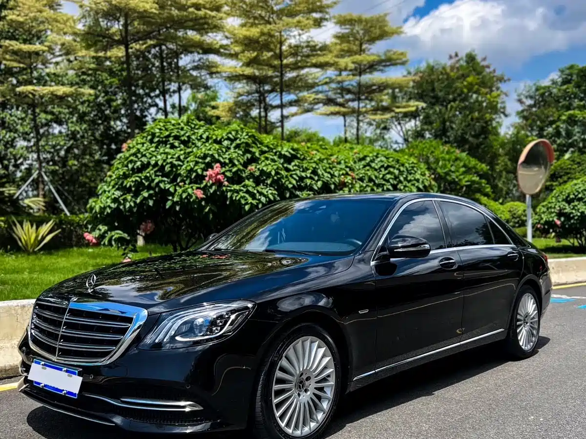 Mercedes-Benz S-Class 2020 S 350 L Business Edition Collector's Version фото 7
