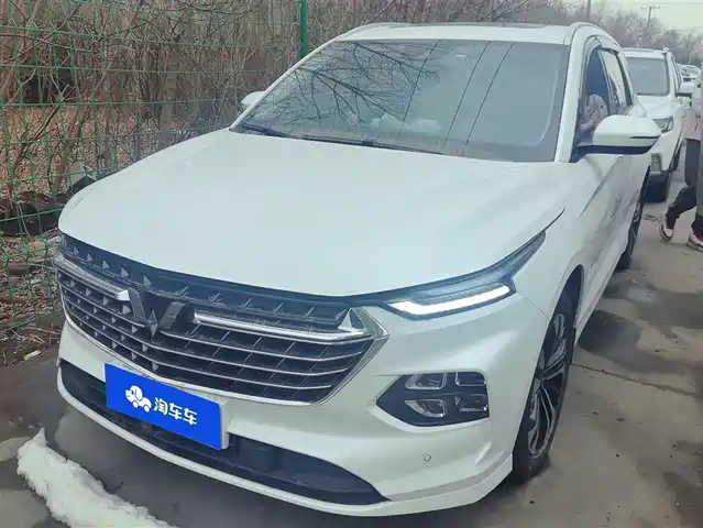 WULING WULING CAPGEMINI