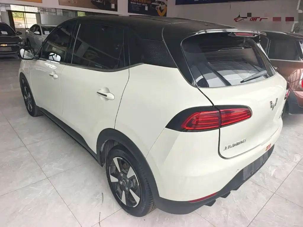 Wuling Motors Wuling Binguo PLUS 2025 2024 Model 330km 5-Seater