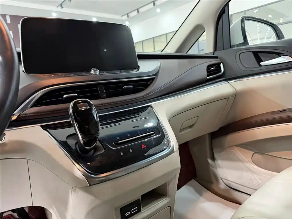 Buick GL8 2022 Land Business Class 652T Luxury фото 9