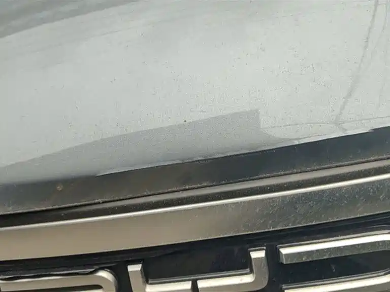 BYD Destroyer 05 2024 Glory Edition DM-i 55KM Luxury фото 14