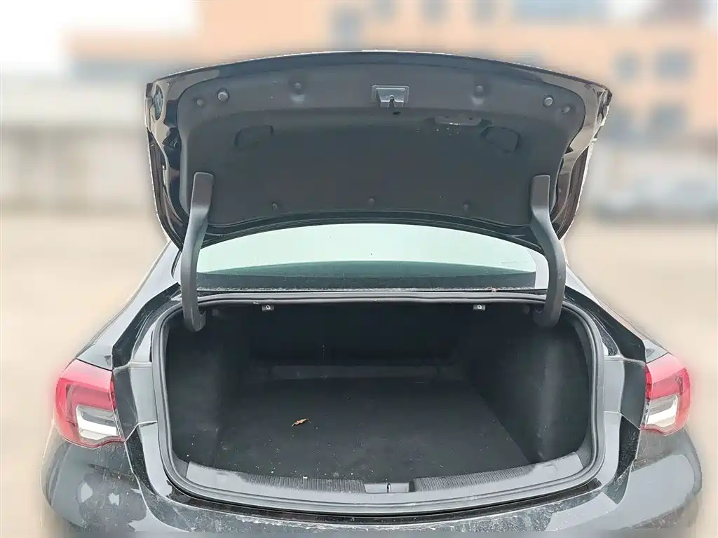 Buick Regal 2024 25T Ultra Comfort Edition фото 15