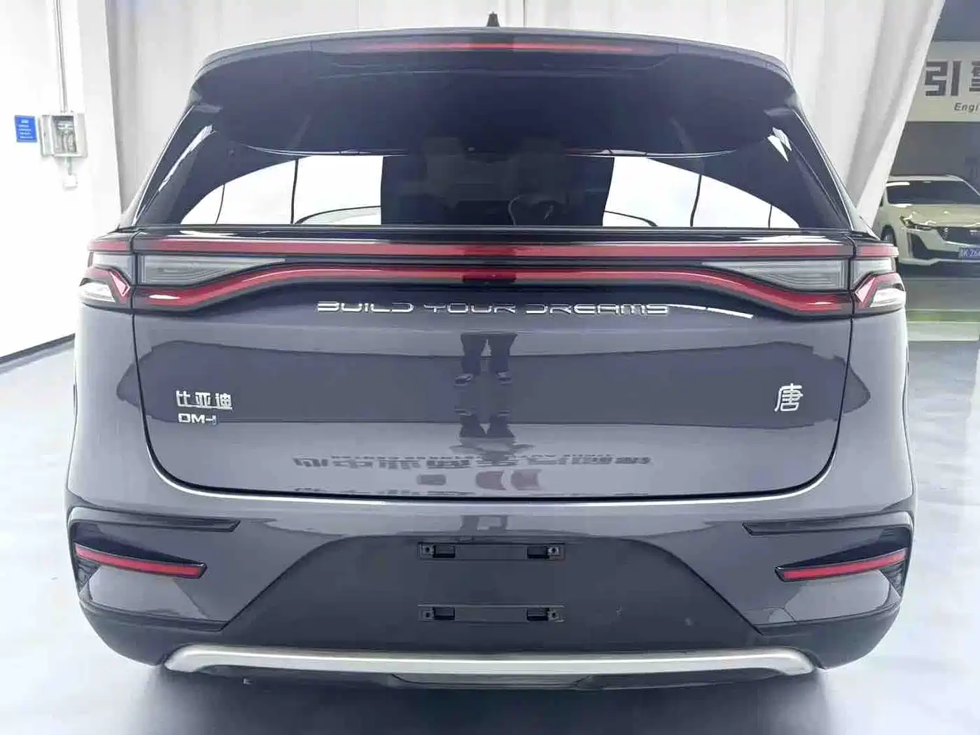 BYD Tang New Energy 2021 DM-i 112KM Premium фото 8