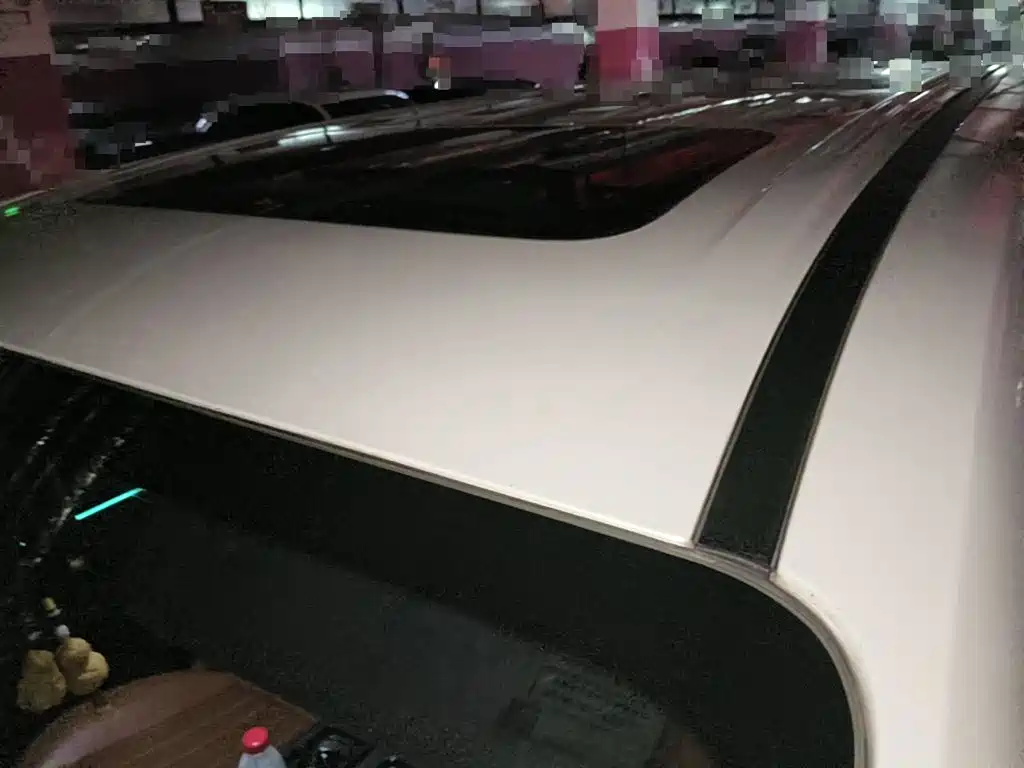 GAC Trumpchi Trumpchi E9 2024 2024 E9 Champion Edition