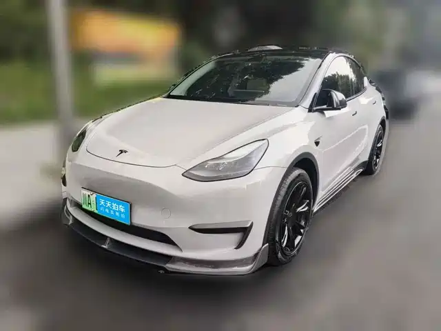 Tesla Model Y 2024 Rear-Wheel Drive Version — фото 1