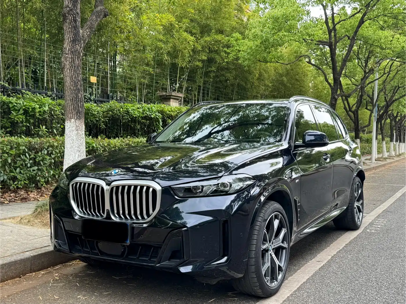 BMW X5 2023 xDrive 30Li Premium M Sport Package