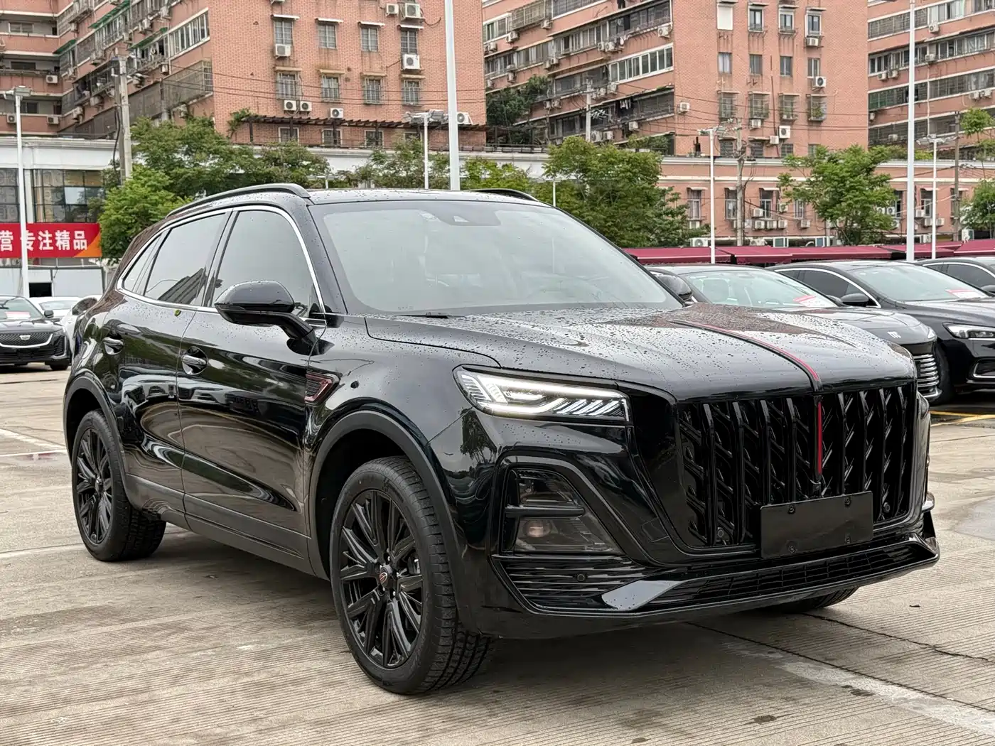 Hongqi HS5 2025 2.0T 2WD Mystic Shadow Edition фото 3