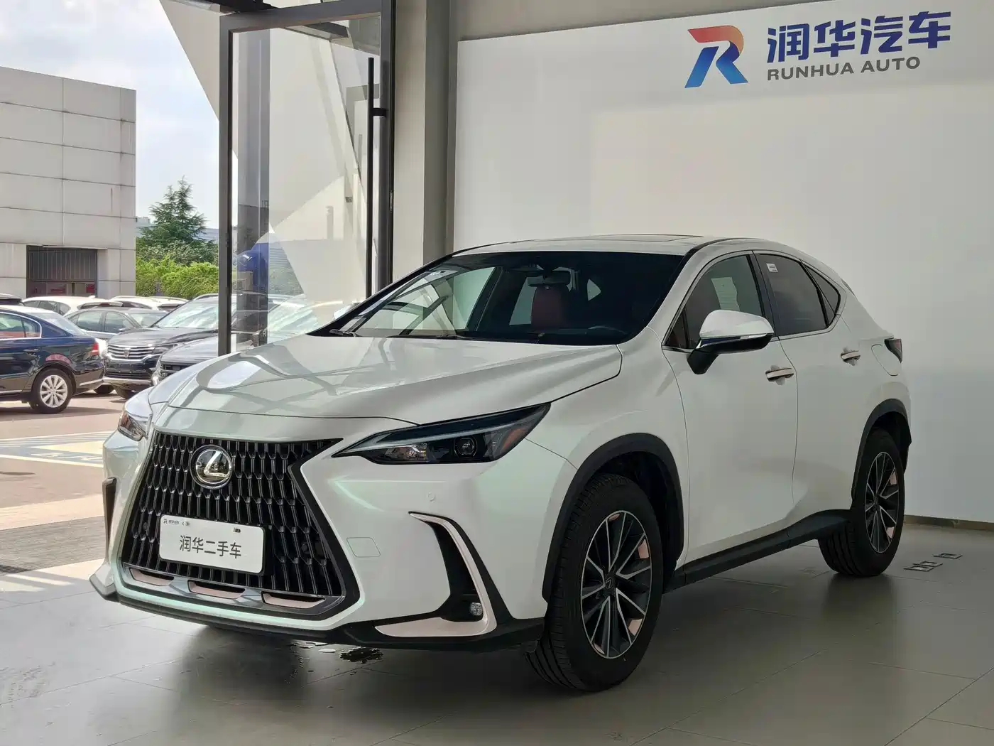2025 Lexus NX