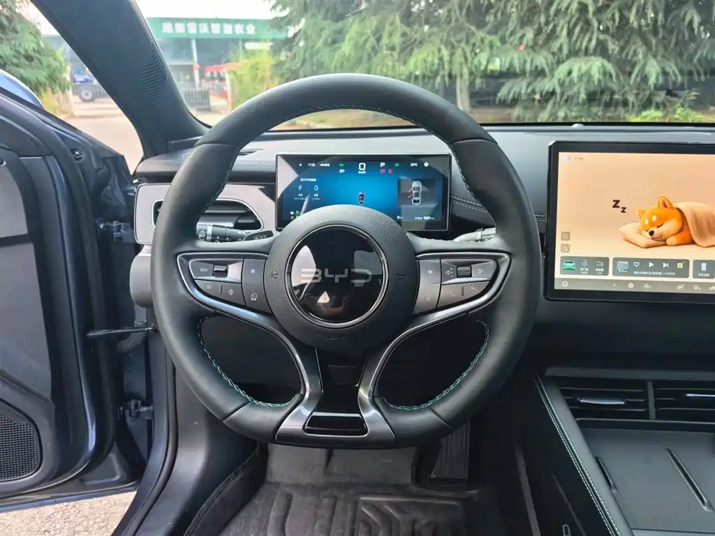 BYD Seal 06 New Energy 2025 DM-i Smart Drive Edition 80KM Noble фото 4