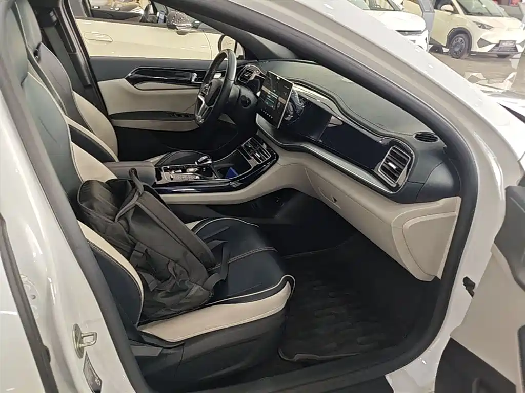 BYD Qin PLUS 2023 EV 510KM Travel Edition фото 20