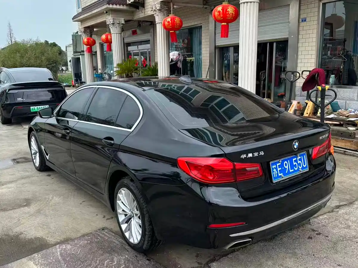 BMW 5 Series 2020 530Li Leading Luxury Package фото 6